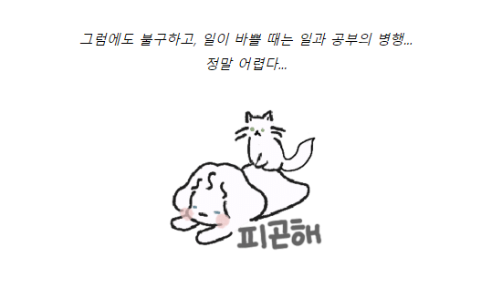 캡처.PNG